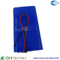 LiFePO4 Battery Pack 48V 30ah